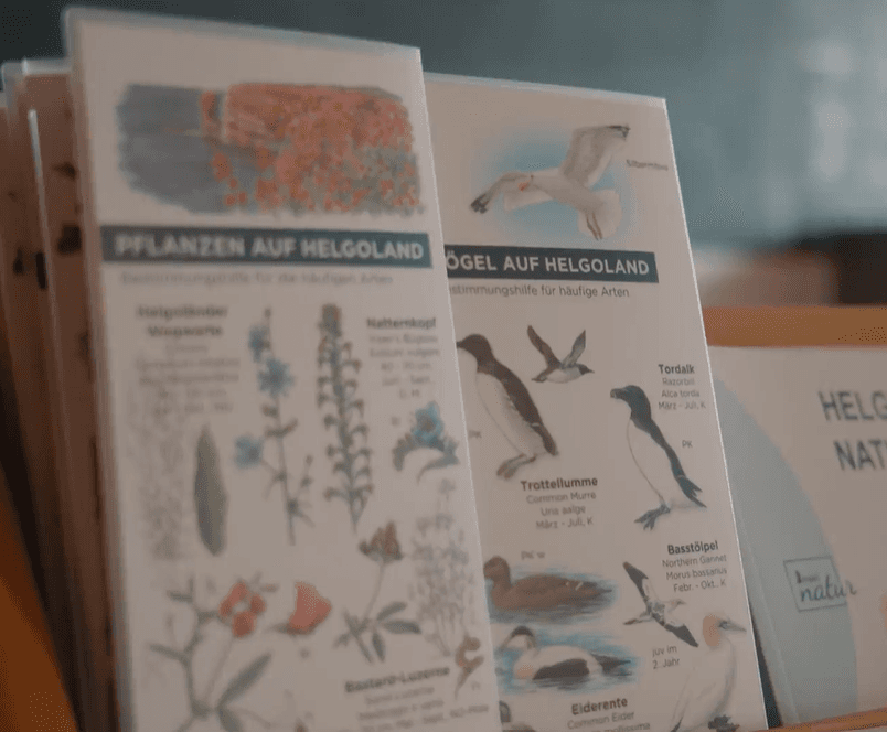 HELGOTWIN Use-Case: Forschung