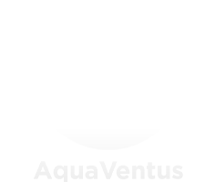 Kunde und Partner von falmstudios