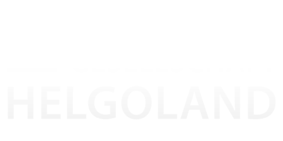 Kunde und Partner von falmstudios