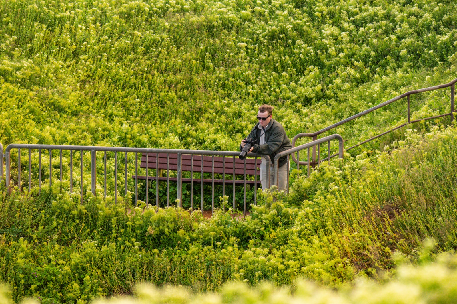 Fotograf am Lummenfelsen von Helgoland